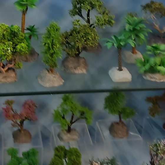 Árboles tropicales