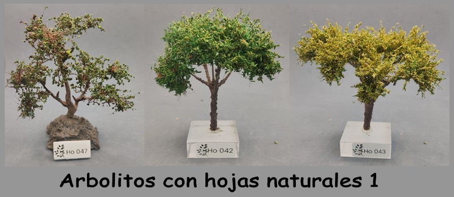 Arbolitos de Nature Center con hojas naturales (1): referencias Ho 047, Ho 042 y Ho 043