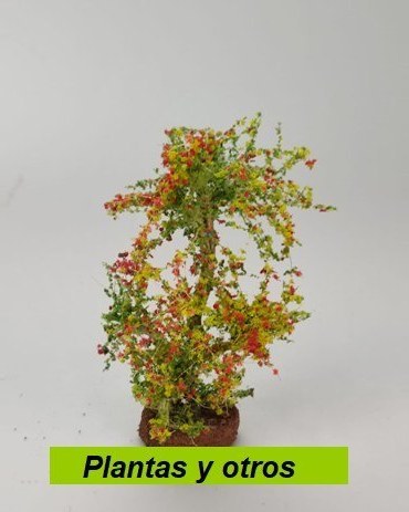 Plantas y otros