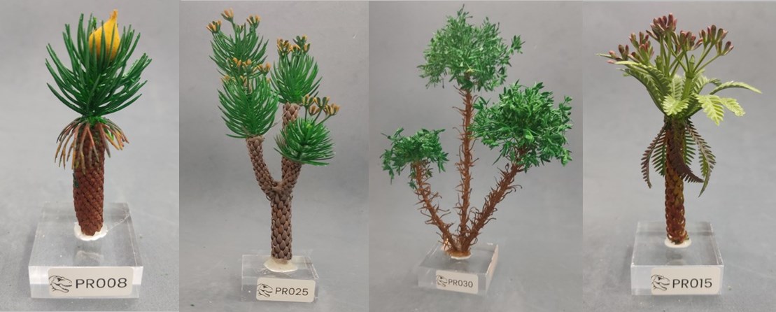 Modelos de árboles prehistóricos de Nature Center, referencias PR008, PR025, PR030 y PR015